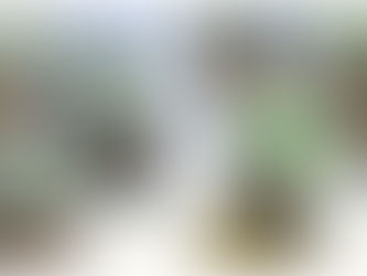 Профорієнтаційне заняття «Мої сильні сторони».