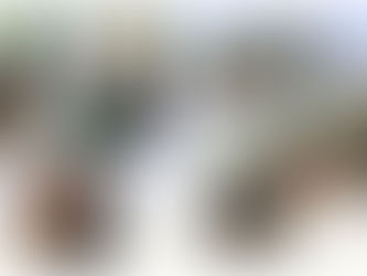 Профорієнтаційний захід «Різноманітність професій».