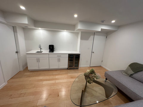 Custom Basement Living Room 
