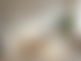 Discover the Elegance of the Shibumi Lifestyle