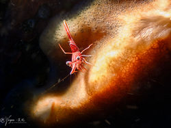 微信图片_20240820141542