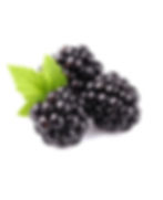 Blackberry
