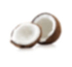 Coconut