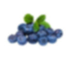 Blueberry
