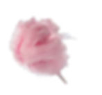 Cotton Candy