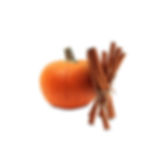 Pumpkin Pie
