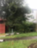 IMG_1975.jpeg
