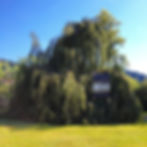 Les Fenêtres Ouvertes l'hiver