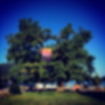 Les Fenêtres Ouvertes l'hiver