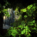 Les Fenêtres Ouvertes l'hiver