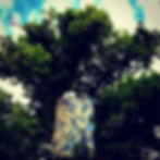 Les Fenêtres Ouvertes l'hiver