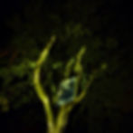 Les Fenêtres Ouvertes l'hiver