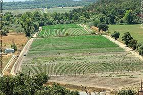 Eddy Lepp's farm.jpeg