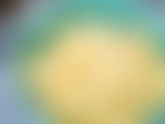 Salad trứng ngon cho bánh mì sandwich