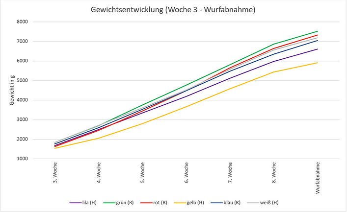 Unbenannt.png