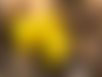 NPO法人ふくじゅ草名称の由来