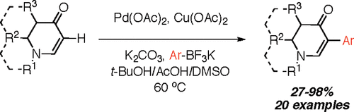 Ge, H.-B.; Niphakis, M. J.; Georg, G. I. Palladium (II)-Catalyzed Direct Arylation of Enam