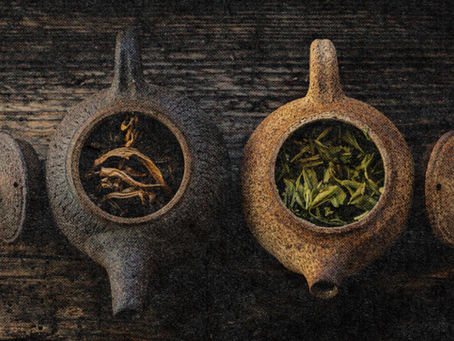 What’s Really the Difference Between Black, Green, Oolong, and White Tea?