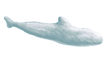 插畫_3_edited.png