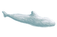 插畫_3_edited.png