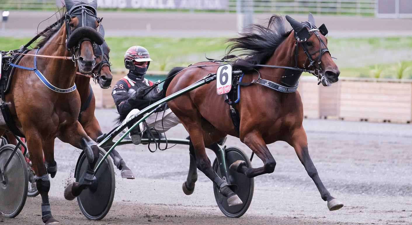 Lexie B.R._NA42384.jpg