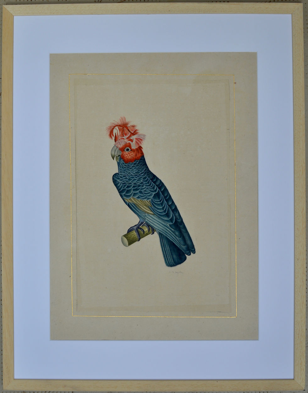 Miniature : LA ROCHE LAFFITTE (1943-) "Les perroquets"