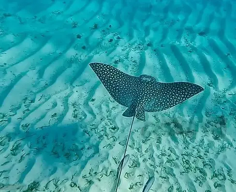 Please use somewhere.webp