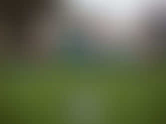 Dynamo siegt vor 4000 Zuschauern souverän