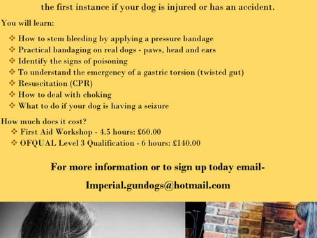 Canine First Aid Workshop with Rachel Bean RVN