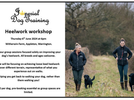 Heelwork Workshop- Thursday 6th June