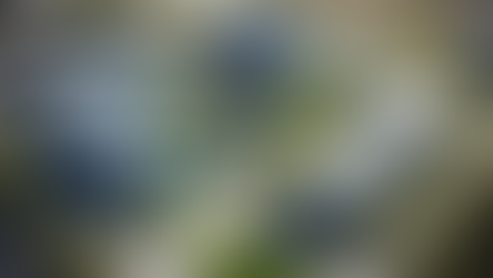 Driving Success in Higher Education with Expert Project Managers