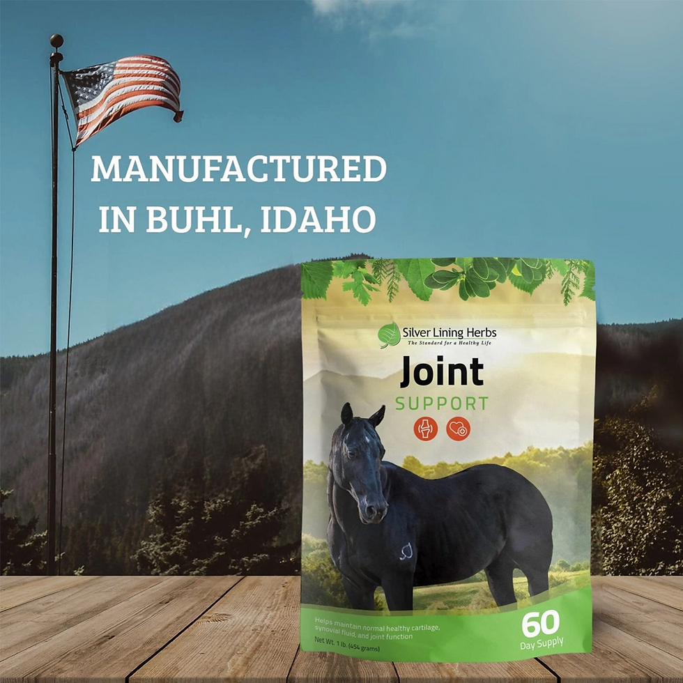 Thumbnail: Joint Support for Horses
