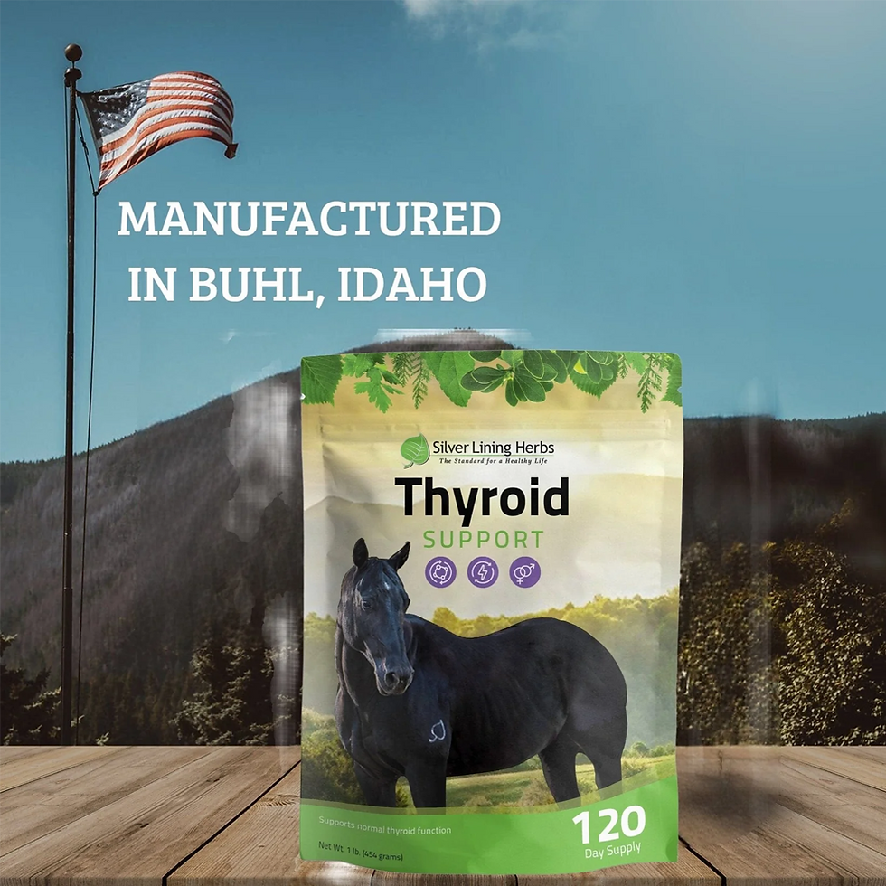 Thumbnail: Thyroid Support for Horses