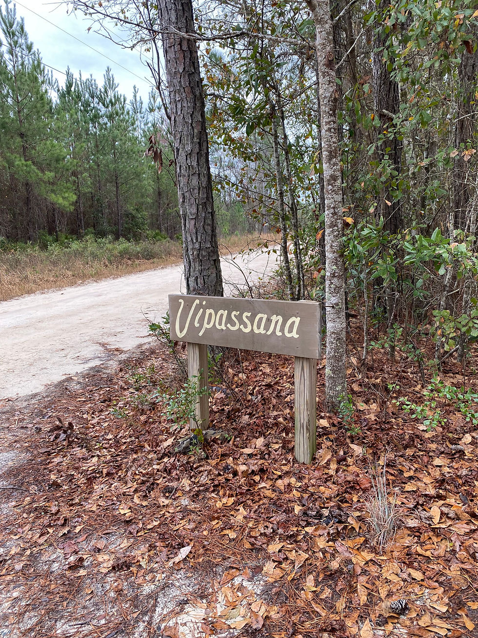 Silent Meditation Course at Dhamma Patapa Vipassana Meditation Center in Jesup Georgia