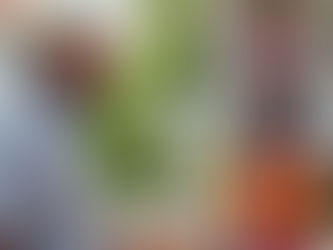 Essential Pre-Sale Inspections for Selling Property in Dominica