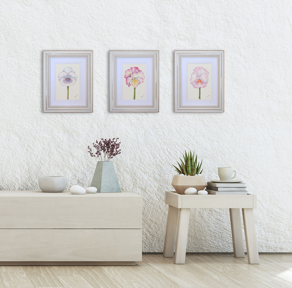 Thumbnail: Pink Pansy Watercolour Painting: Frilly Pink Pansy | Anne Armand