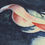 Thumbnail: Fish Watercolour Painting: Koi Fish | Anne Armand
