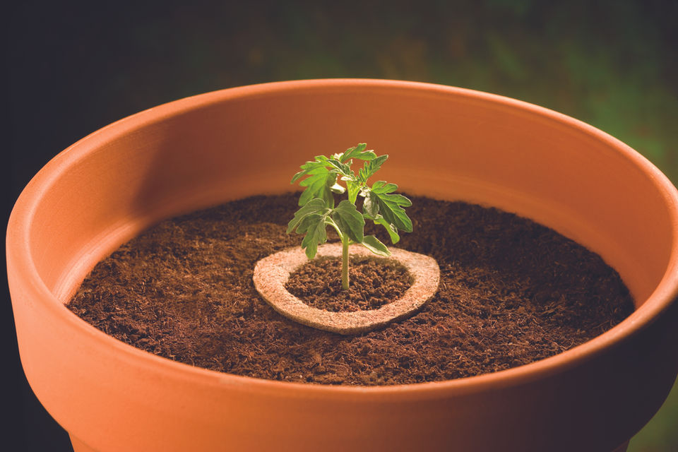 Package Design, UX Design