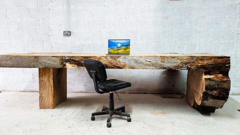 Log Tree table dining or desk