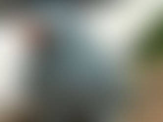 Ave de estimação desaparece e mobiliza buscas na Volta da Charqueadas