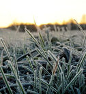Massa de ar frio mantém amanhecer gelado e possibilidade de geada no Rio Grande do Sul