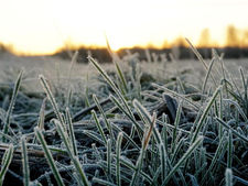 Massa de ar frio mantém amanhecer gelado e possibilidade de geada no Rio Grande do Sul