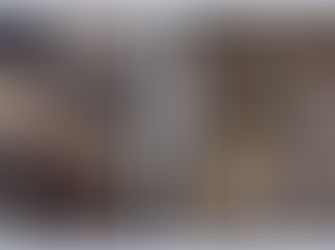 Família busca por cão desaparecido no Bairro Noêmia