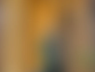 Defesa Civil fecha 2025 com ampliação de ações preventivas e repasses para resposta a desastres