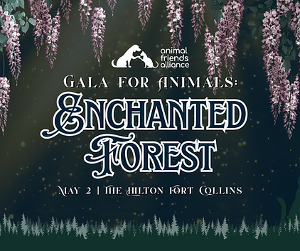 Gala-Facebook-Event-Cover.png