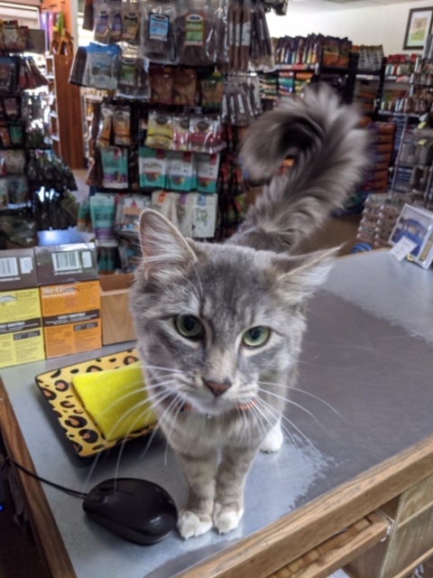 Hank's Pet Food Market LLC