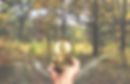 Hand mit Kompass an Weggabelung – Symbol für Orientierung und neue Entscheidungen in Beratung im Pinzgau und Salzburg.