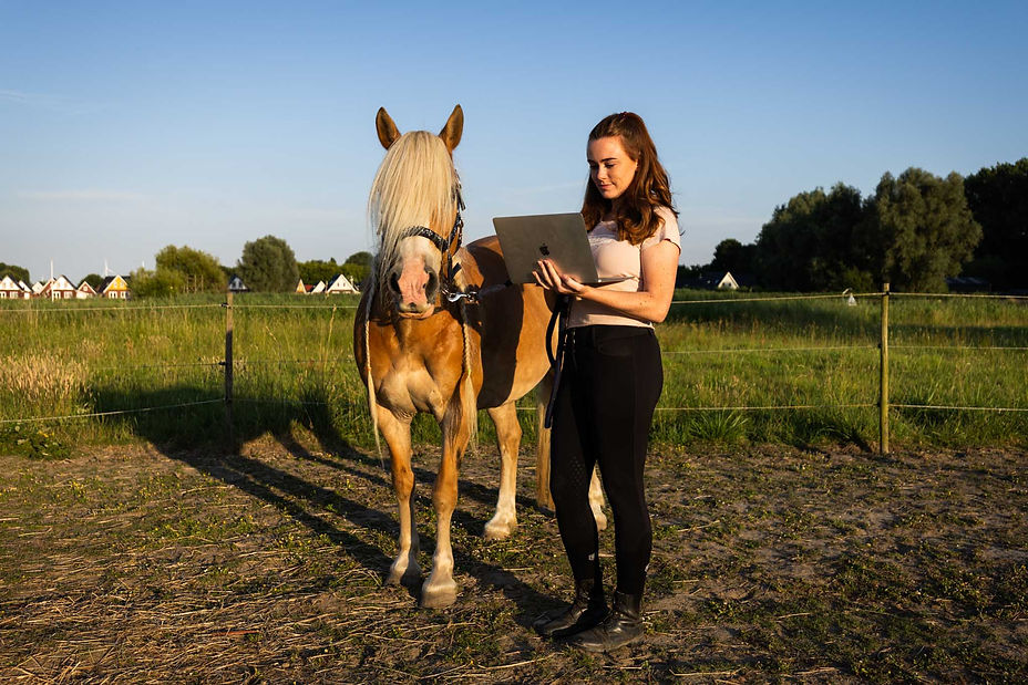 Voedingsdeskundige paard