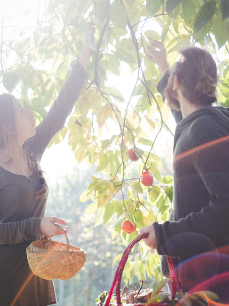Can you cultivate an attitude of gratitude?