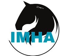 International Mustang Horse Association